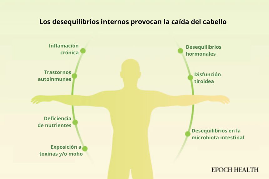 Desequilibrios comunes que podrían contribuir a la caída del cabello. (Ilustración de The Epoch Times, Shutterstock)