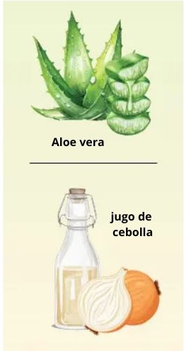 Gel de aloe vera y jugo de cebolla. (Shutterstock)