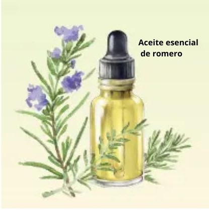 Aceite esencial de romero. (Shutterstock)