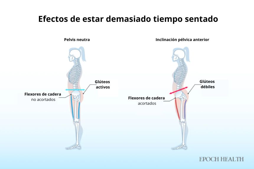 Efectos de pasar demasiado tiempo sentado. (The Epoch Times/Shutterstock)