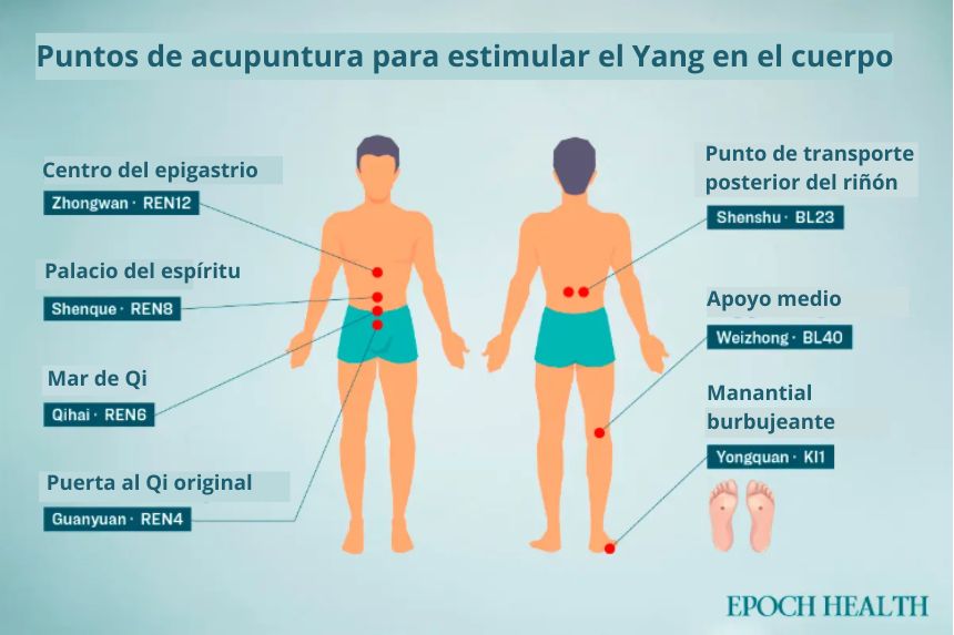 Puntos de acupuntura que potencian el Yang en el cuerpo. (The Epoch Times)