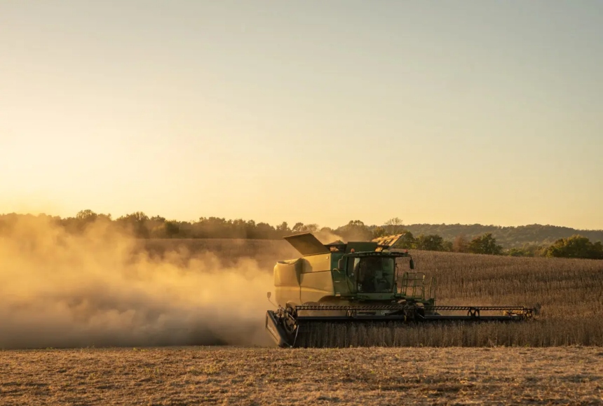 Una cosechadora recolecta soja en Marion, Kentucky, el 14 de octubre de 2025. (Jan Sonnenmair/Getty Images)