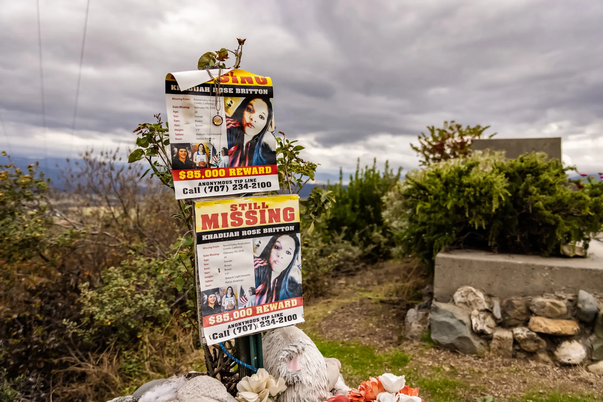 <em>Carteles de búsqueda de una mujer desaparecida se ven en las afueras de Covelo, California, el 9 de octubre de 2025. (John Fredricks/The Epoch Times)</em>