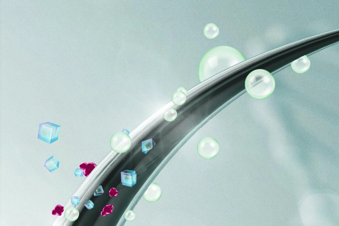 <em>(Ilustración de The Epoch Times, Shutterstock)</em>