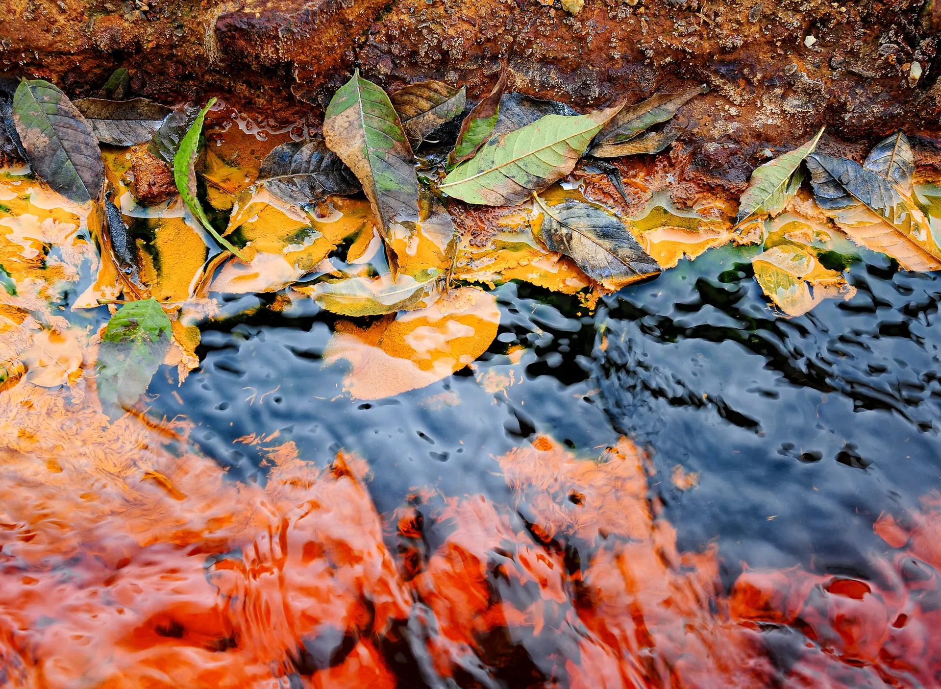 El agua contaminada fluye de la mina de cobre abandonada de Roșia Poieni, cerca del pueblo de Lupsa, en las montañas Apuseni de Rumanía, el 20 de septiembre de 2011. (Daniel Mihailescu/AFP a través de Getty Images)