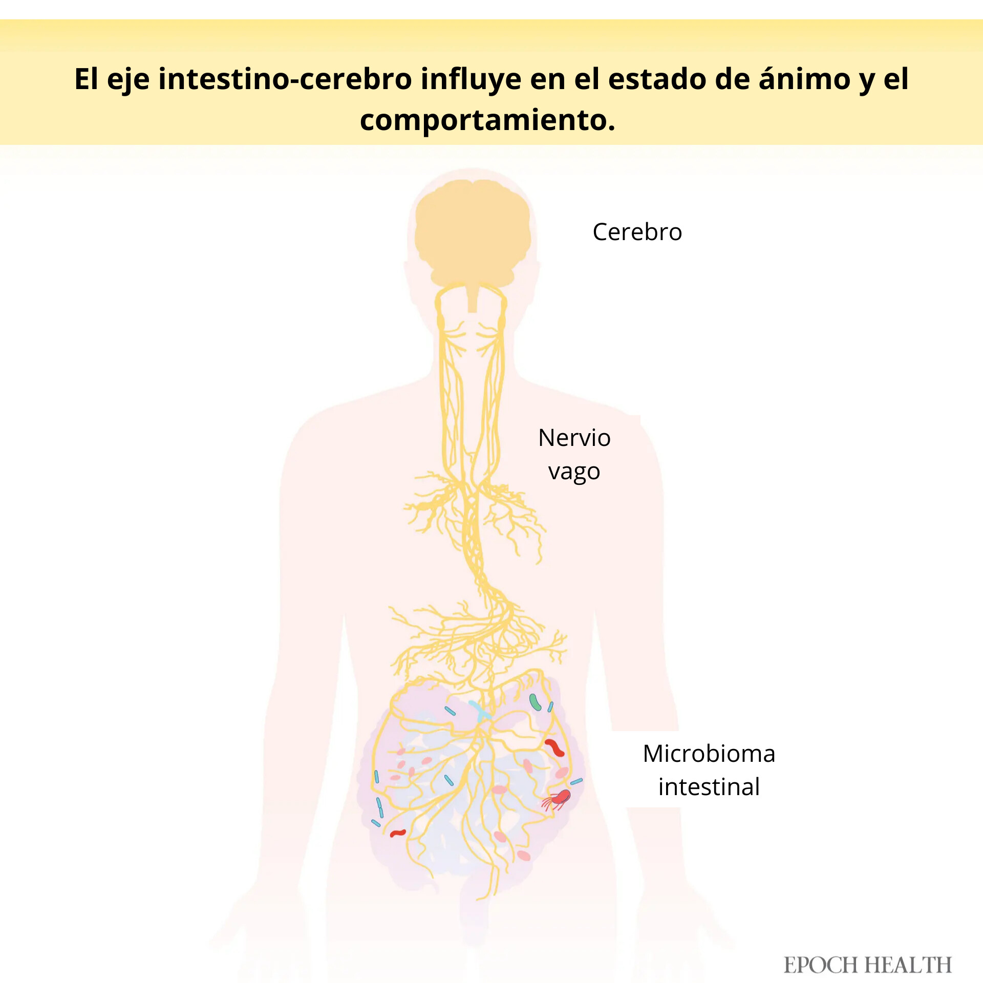 (Ilustración de The Epoch Times, Shutterstock)