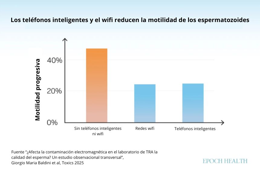 (Ilustración de The Epoch Times)
