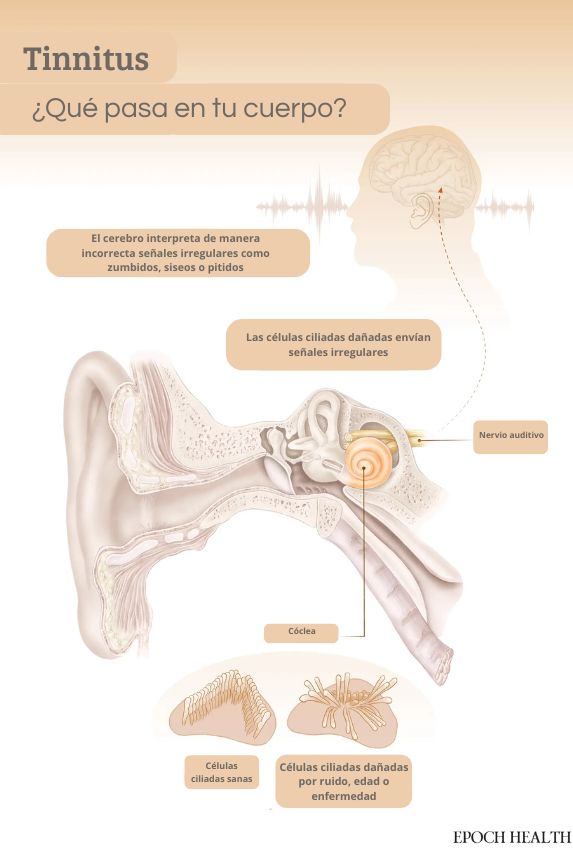 Ilustración de The Epoch Times. (Shutterstock)