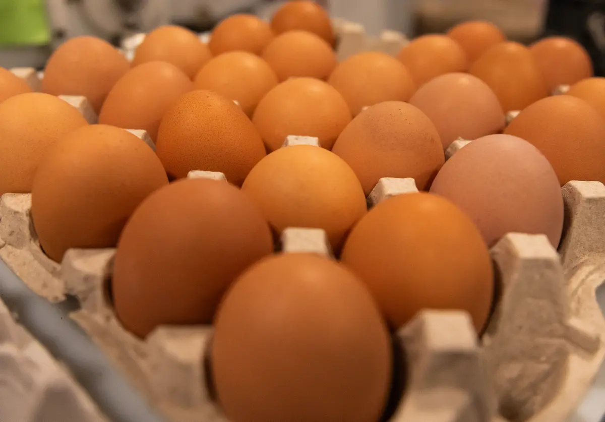 Huevos ecológicos que se venderán en la granja de Ben Simmons, en Petal, Misisipi, el 24 de septiembre de 2025. (John Fredricks/The Epoch Times)
