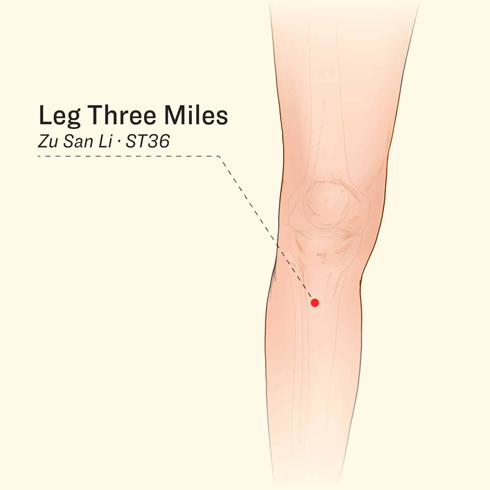 <em>The Epoch Times</em>