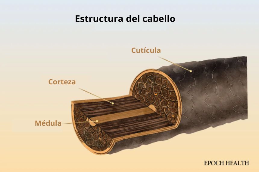 (Ilustración de The Epoch Times, Shutterstock)