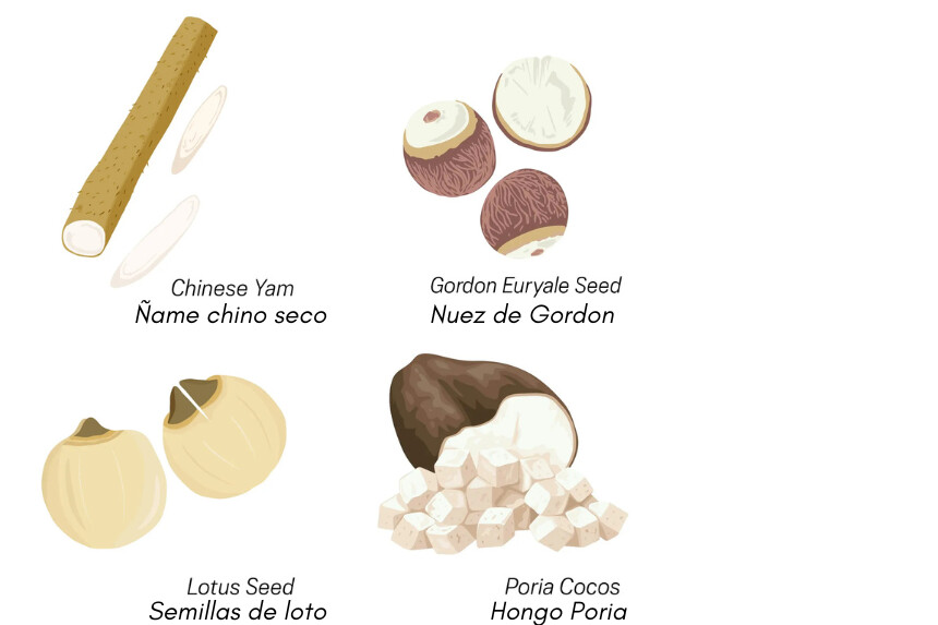 <em>Ilustración de The Epoch Times, Shutterstock.</em>