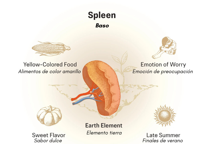 Ilustración de The Epoch Times, Shutterstock.